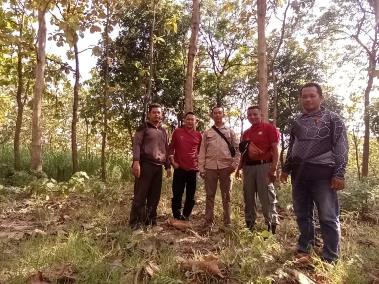 WhatsApp Image 2026-05-12 at 14.58.52(1)